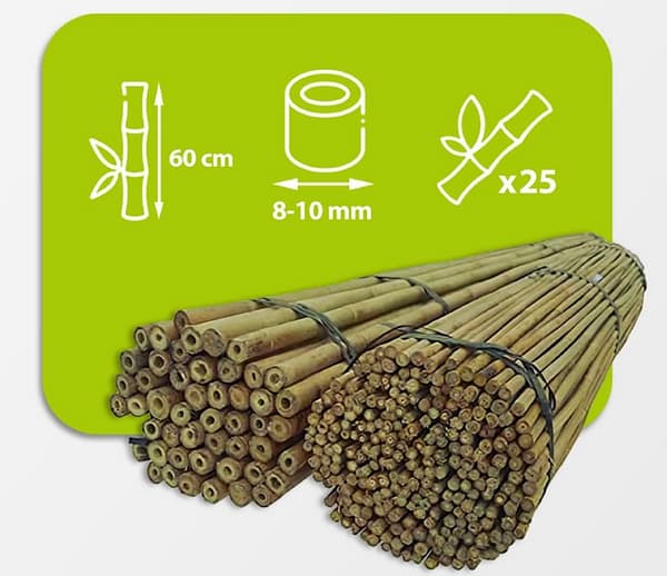 Bambustolpar 60 cm 8/10 mm /25 st/