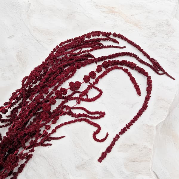 Stabiliseret amarant - Amaranth - Bourgogne