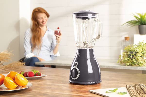 BERLINGER HAUS BH-9284 BLENDER BLANDER