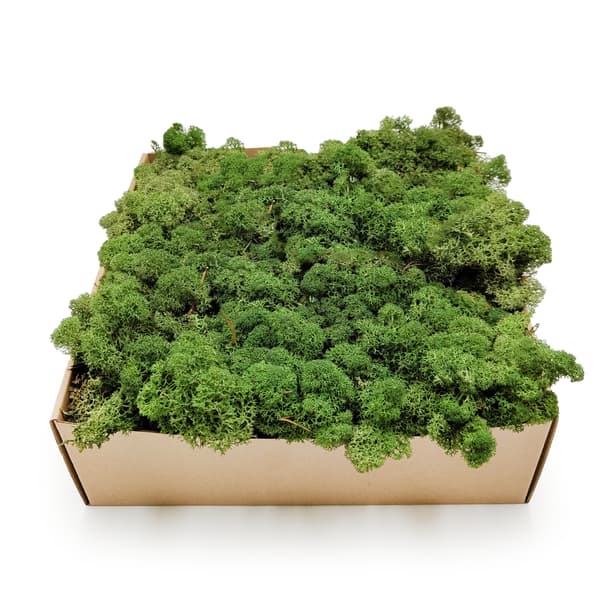 Rensdyrmos - Norge - Flaske 500g NETTO
