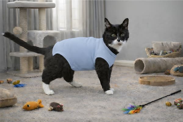 POSTOPERATIVT TØJ TIL KAT ELLER HUND Forklæde KOMFORTABLE BLÅ KATTE