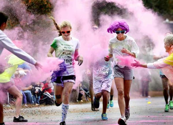 Holi Hjärtpulver Lila 70g