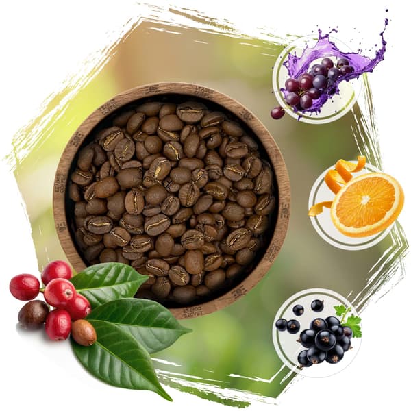 Kaffebønner CAFEIERE Arabica Kenya AA, 500 g
