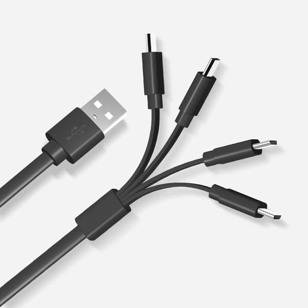 LiiBattaries USB-C 4-i-1 avsedd för LITIUMJONBATTERIER 19 cm snabb