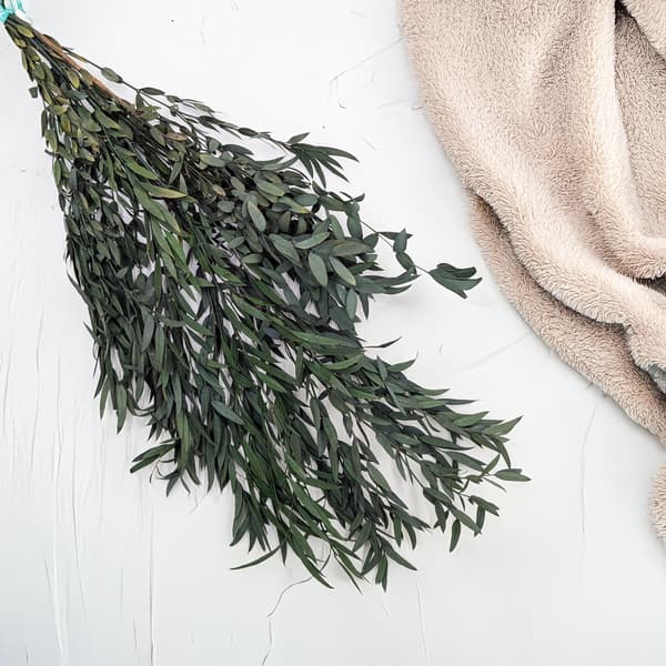 Stabiloitu eukalyptus - Nicoly - Vihreä