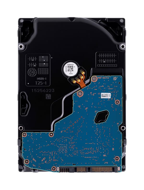 Synology HAT3310-12T