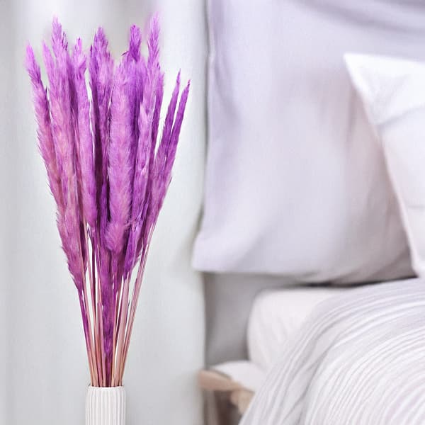 Mini Pampas-ruoho - violetti