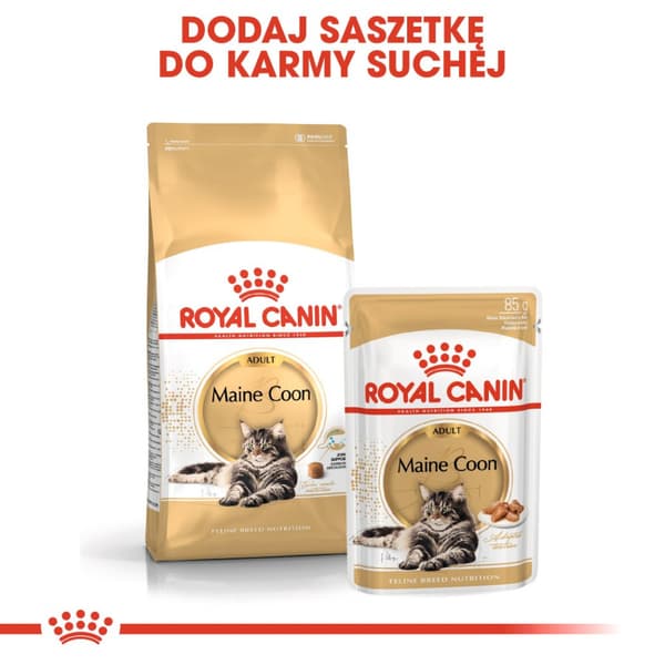 Royal Canin Maine Coon torrfoder för katter 10 kg