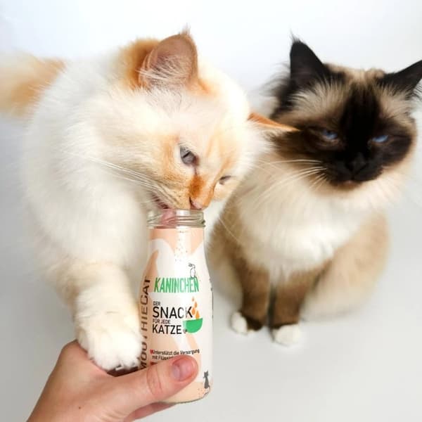 Smoothie Kat | 150ml - Smoothie til katte med and 150ml