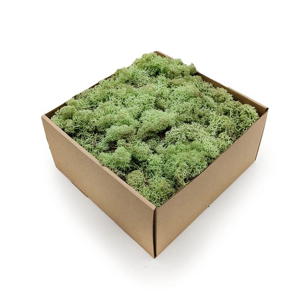 Renmossa - Norge - Mintgrön 250g NETTO