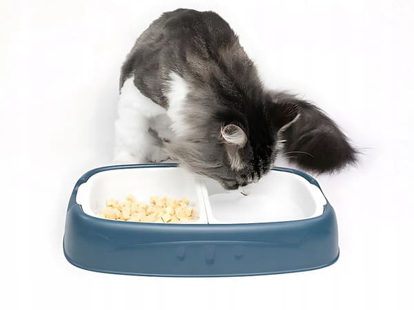 Kaksoinen koiran kauha 2 sininen (40)