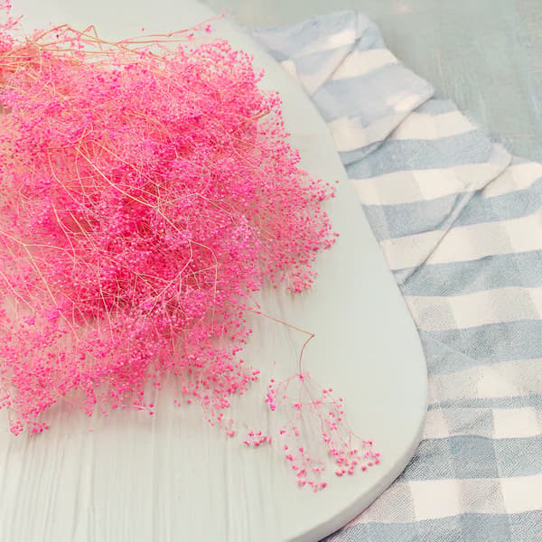 Stabiloitu kipsi MINI - (gypsophila) - Vaaleanpunainen