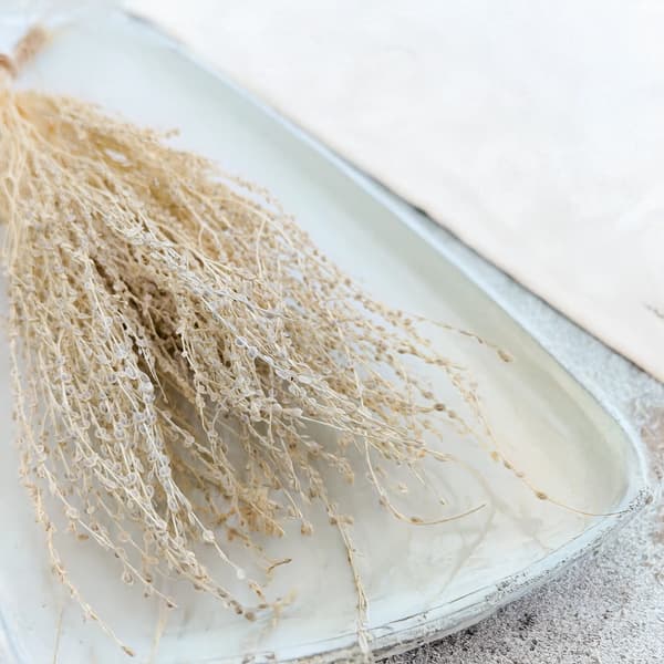 Lepidium (Lepidium sativum) - Bleget