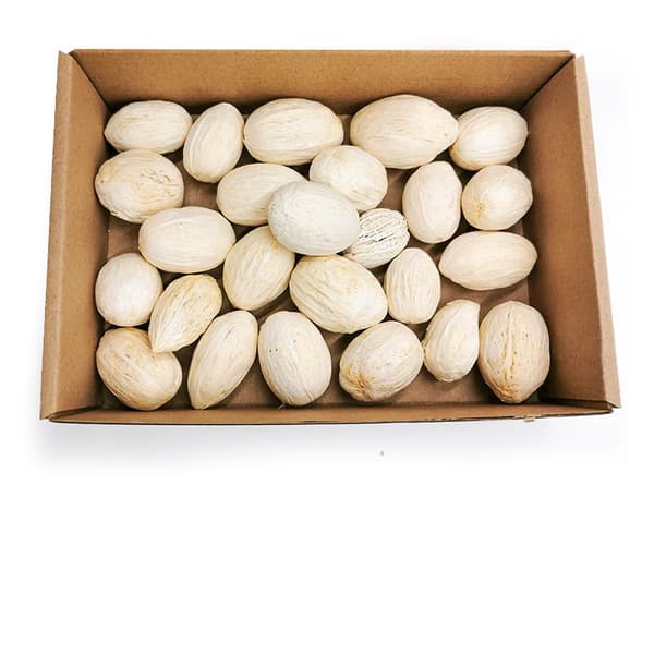 Amra Pods (Blegede) - eksotiske tørrede urter - 100g
