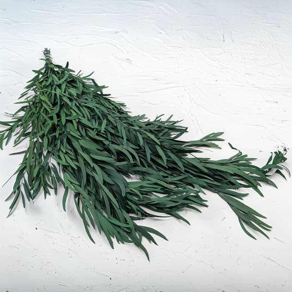 Stabiloitu eukalyptus - Nicoly - Vihreä
