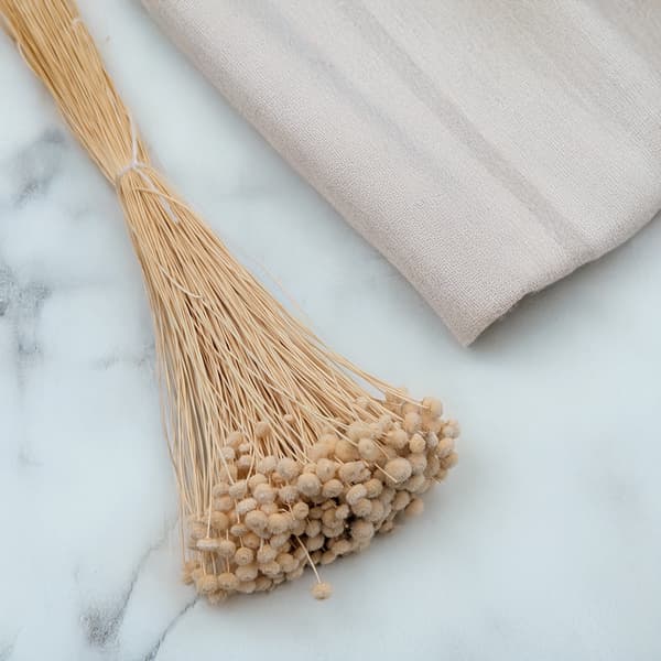 Botao Amarelino - (Amarelinho) - beige