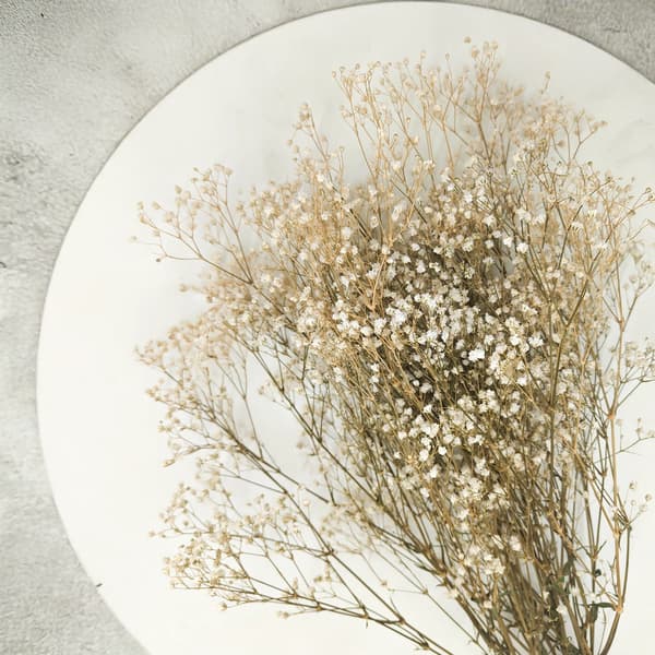 Stabiliserad Gypsophila - Naturvit