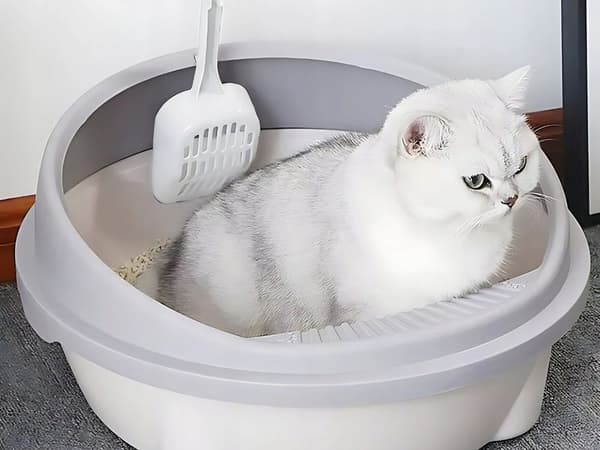 Kattebakke til kat med skovl 2 (20)