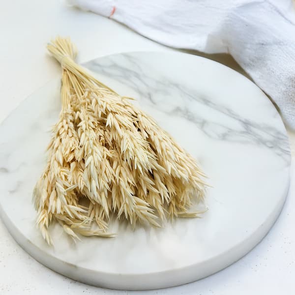 Tørrede havre - (Avena sativa) - Bleget