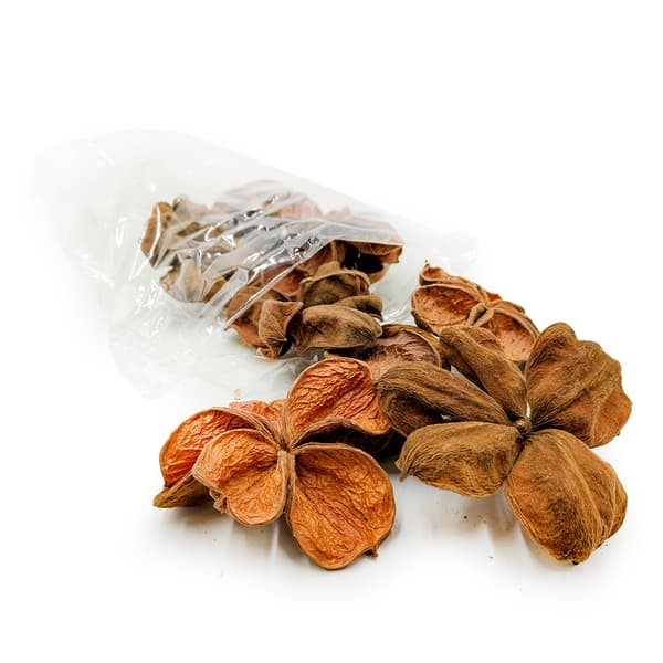 Land Lotus Natural - 10-pack