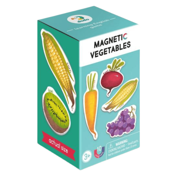 Magnetiskt frukt- och grönsaksspel för engelskundervisning med magneter