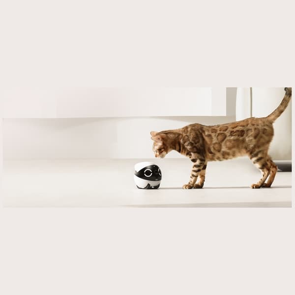 ENABOT ROLAMINI intelligent ledsagerrobot