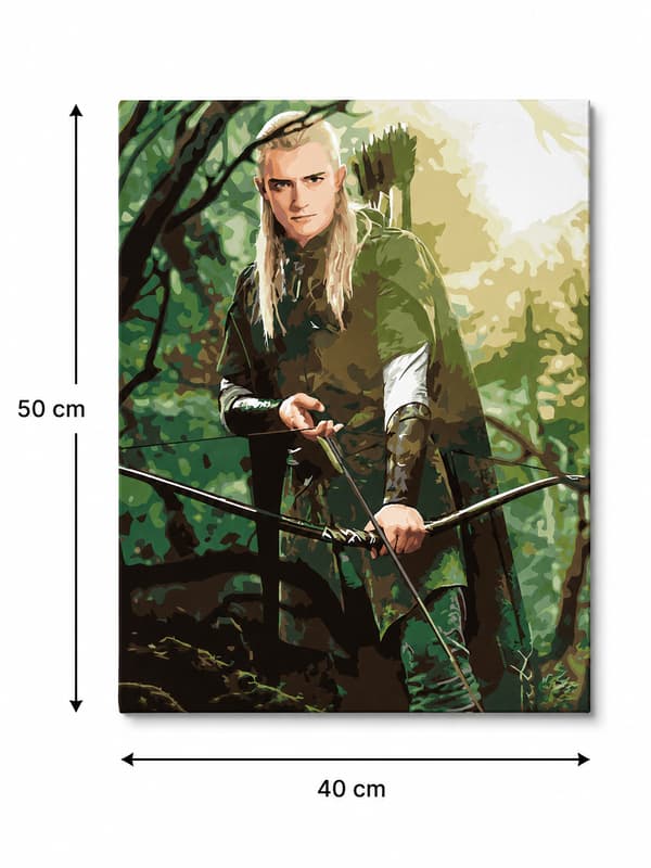Målning med siffror Legolas Sagan om ringen 40x50cm