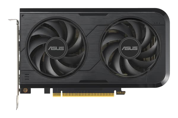 ASUS DUAL GeForce RTX 5050 8GB OC grafikkort