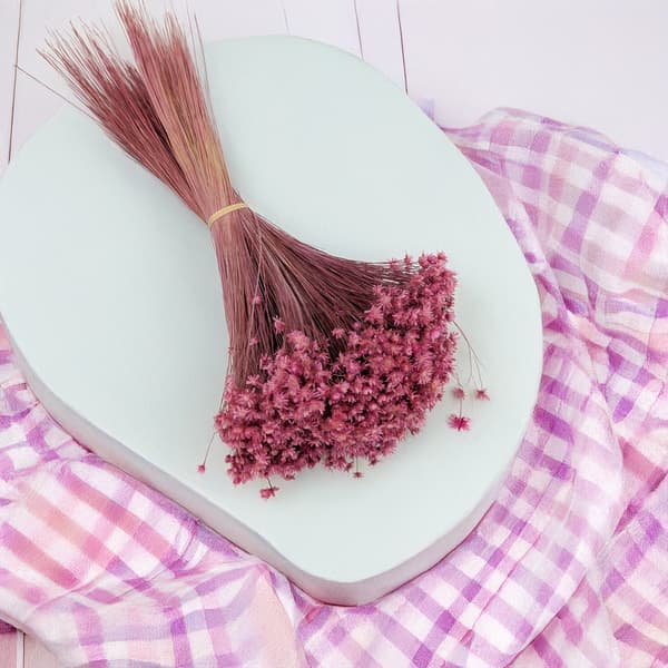 Tørret Glixia - (Glyxia Marcela) - Fuchsia