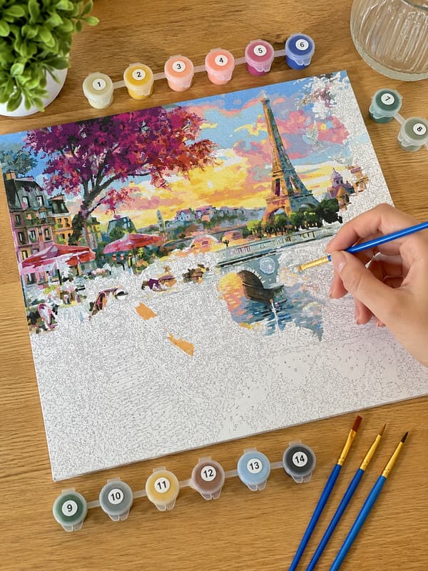 Målning med siffror Paris magnifika 50x40cm