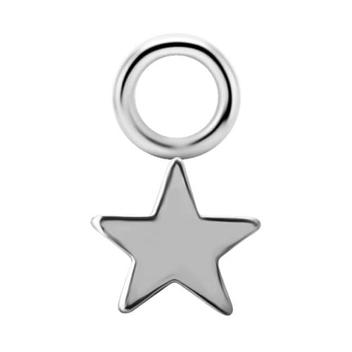 Titanium vedhæng - Stjerne - Sølv - D-059