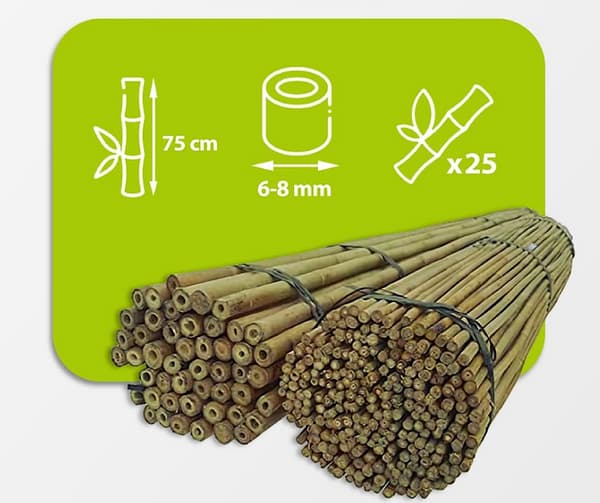 Bambustolpar 75 cm 6/8 mm /25 st/
