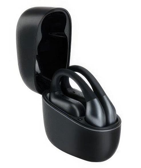 Trådløse headset PANASONIC RB-F10DE-K Åbne Sorte