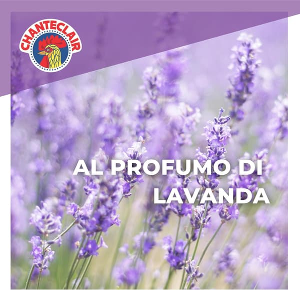 Chanteclair Sagrassatore avfettning Lavendel 600 ml