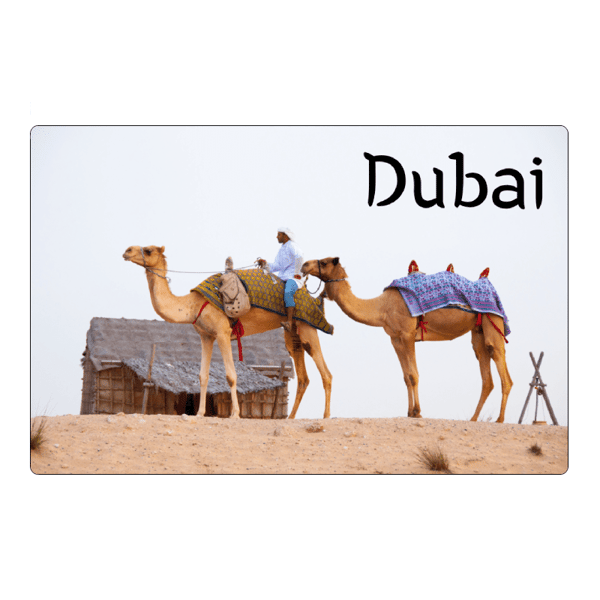 Køleskabsmagnet Dubai kameler