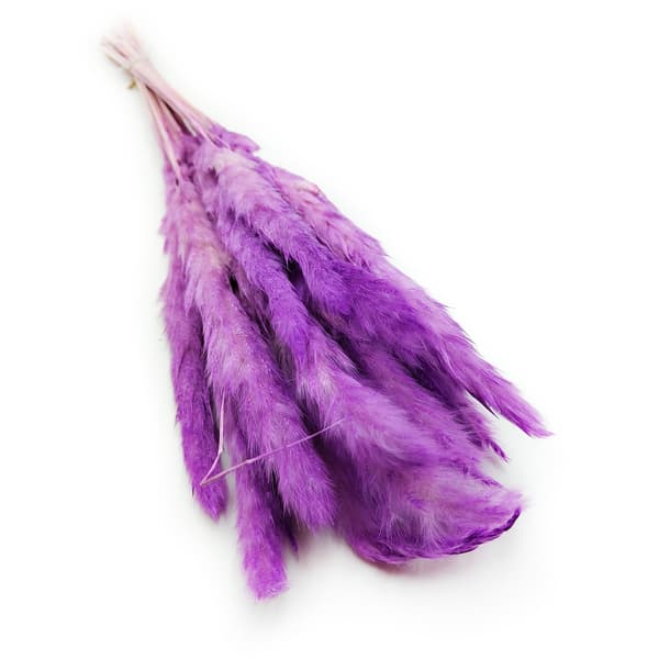 Mini Pampas Græs - Lilla