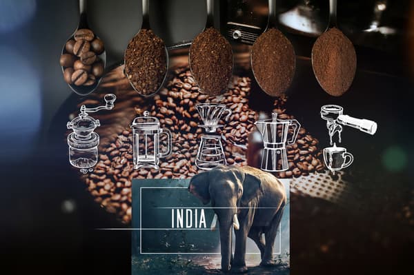 Friskristede Arabica kaffebønner Indien 50g