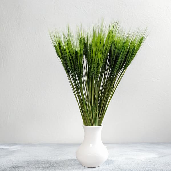 Tørret triticale - flaskegrøn