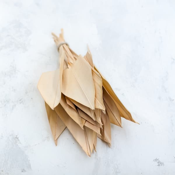 Palmpilblad - pil - (Palmspjut) - Blekt - 20 st