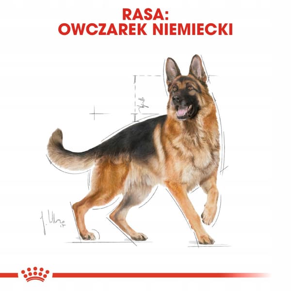 Royal Canin tørfoder til hunde 11 kg til schæferhund