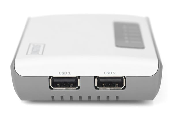 Digitus DN-13024 verkkopalvelin, 300 Mbit/s