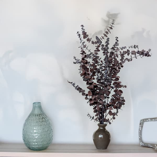 Stabiliseret eukalyptus - Babyblå - Rød