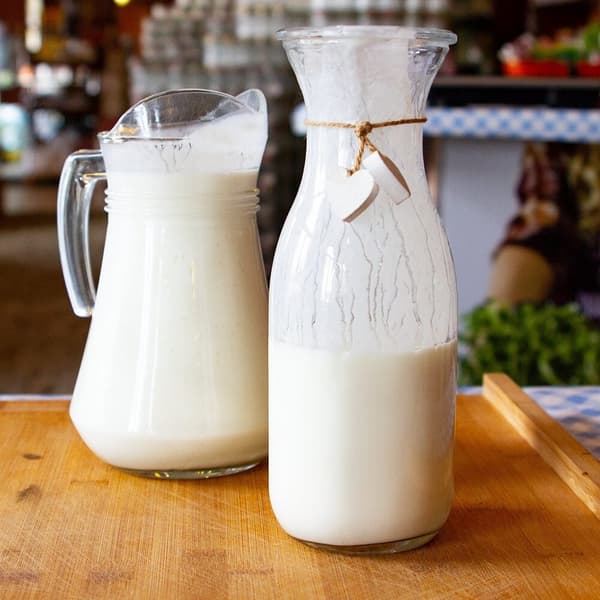 Yoghurtkulturer til 25 liter mælk