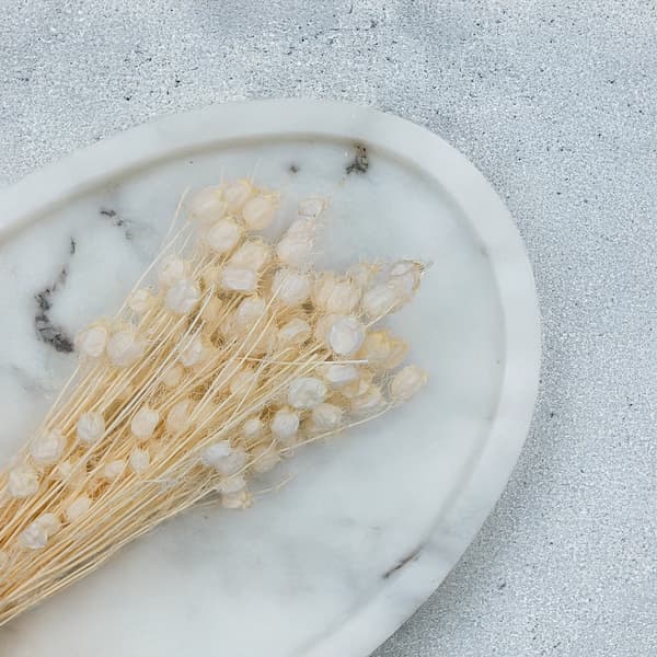 Tørret sort spidskommen - (Nigella Damascena) - Bleget