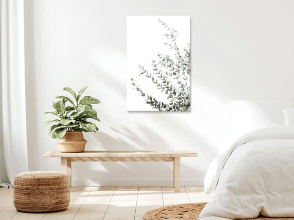 Billede - Eukalyptus Parvifolia (1-delt) stående