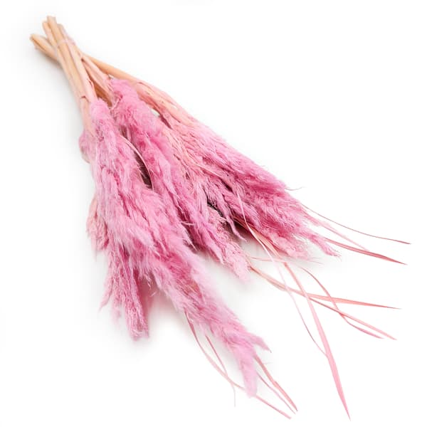 Mini Pampas Græs - Lyserød - 10 stk
