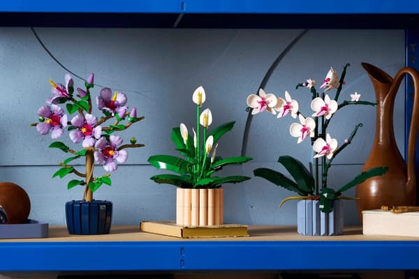 LEGO Botanicals 11504 Spathiphyllum, 474 delar