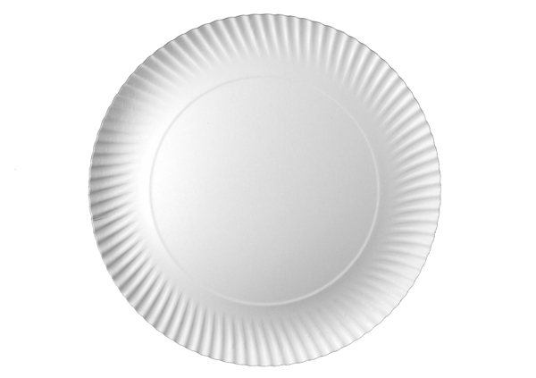 Engangspapirtallerkener 26 cm 100 stk