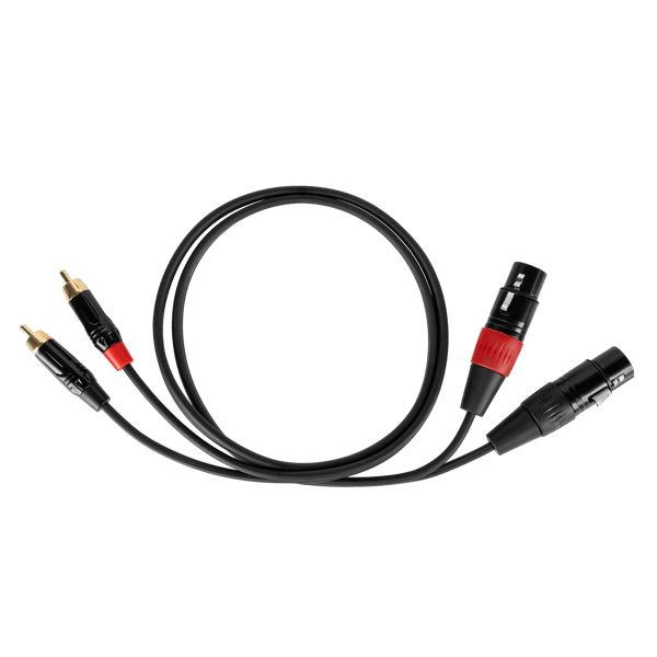 Cabletech XLR - 2RCA -liitäntäkaapeli 1m