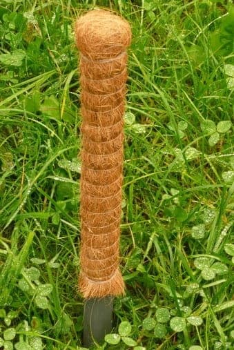 Kokosnødspæl 100 cm 3 stk.